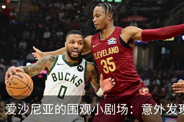 爱沙尼亚的围观小剧场：意外发现“帮忙”俄罗斯运气